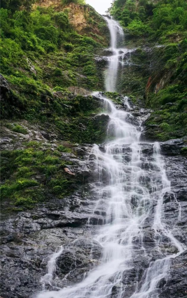 龙门山脉|走进天府旅游名村｜枕山望水，茶香悠悠