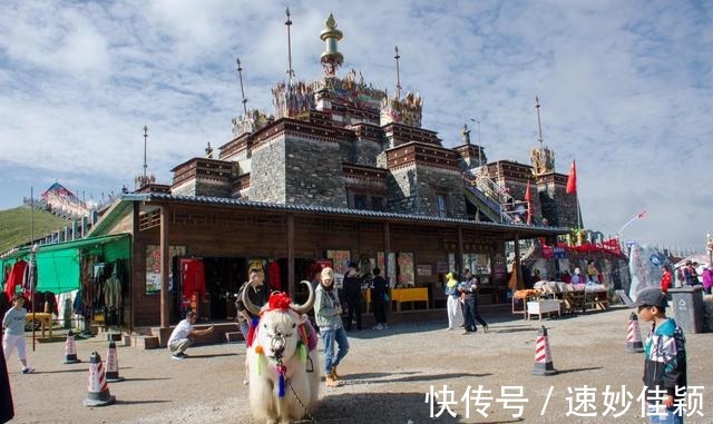 龙羊峡|高原散记，漫步在雪山峡谷之间