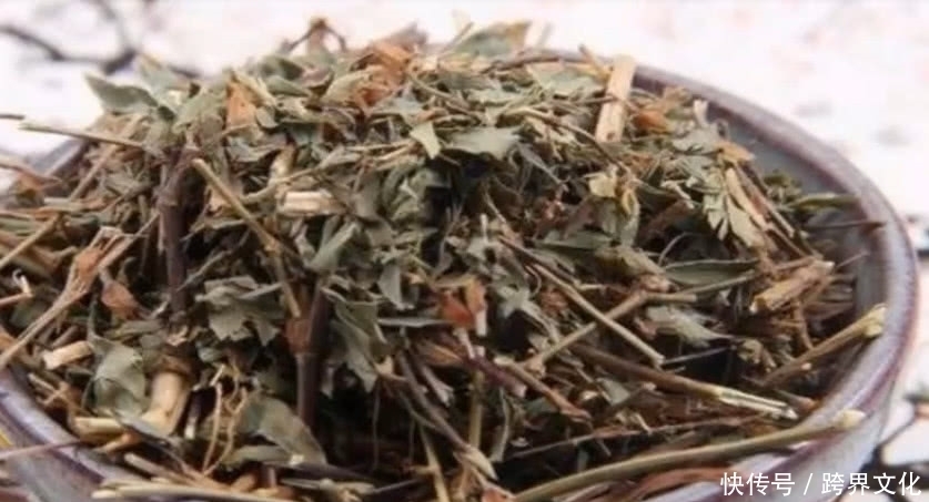 花朵|农村路边这朵野花,市场价一斤30元,是中医追求的珍贵中草药