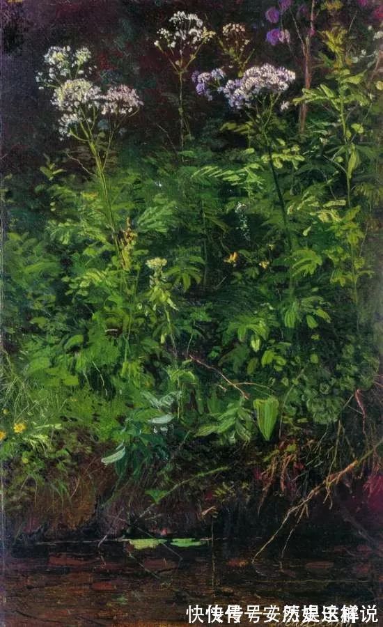 那个时代$俄罗斯杰出风景画家希施金的作品,诗一般的境界!