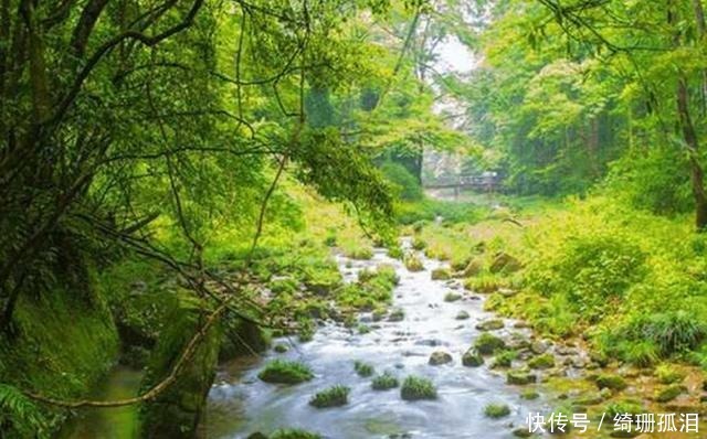  旅游|中国最“著名”的旅游城市，因山闻名，吸引各国的游客