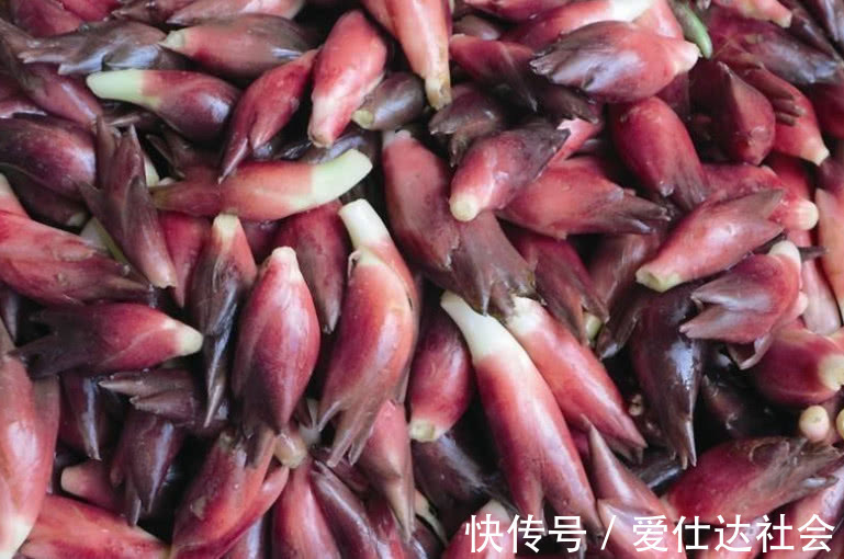 中国农村|长在厕所旁的野草,在中国农村泛滥成灾,在日本花高价还买不到