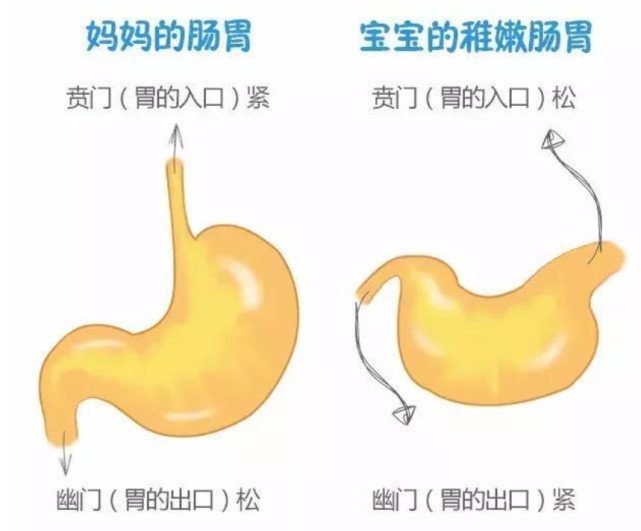 奶粉|宝宝为什么总吐奶提醒别每次都只会竖抱拍嗝，当心有危险