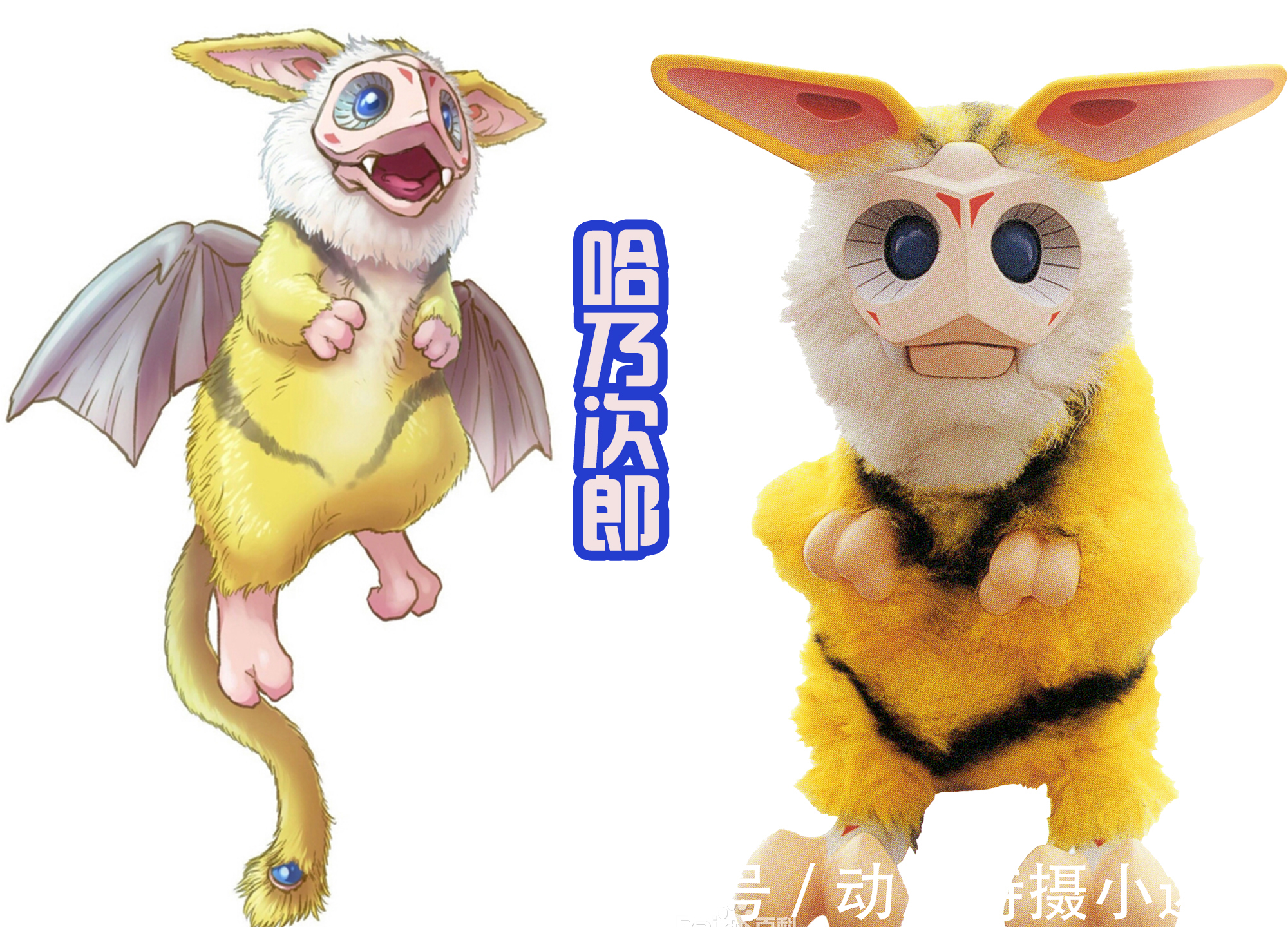 戴卡奥特曼|新奥戴卡确定,将会致敬戴拿!并且和前辈打造《特利迦奥特曼S》