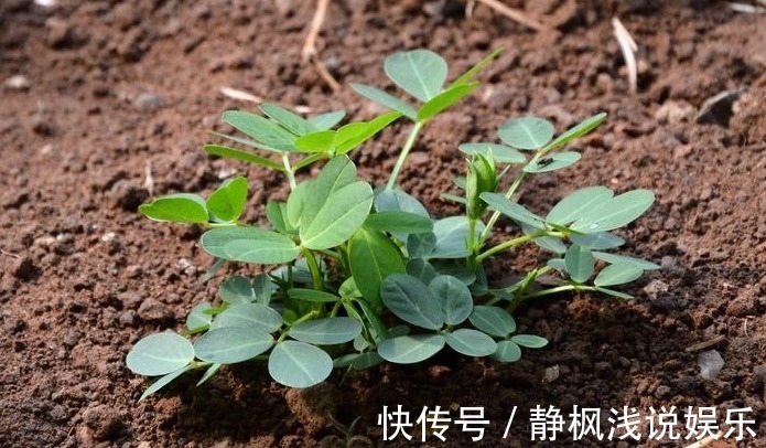 用法|怎样控制高血压?不用每次都吃药,教你4个快速降压的方法