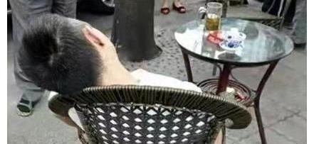 回国@我，40岁闯荡非洲，50岁回国，如今60岁娶了22岁非洲女孩