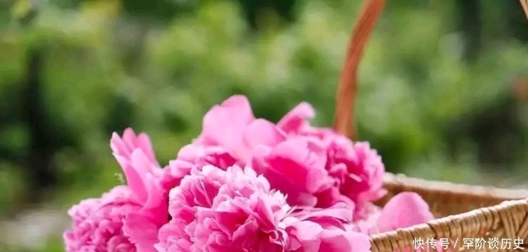 陆游|小楼一夜听春雨,这看似耳熟能详的一句诗,你知道它的下一句吗?