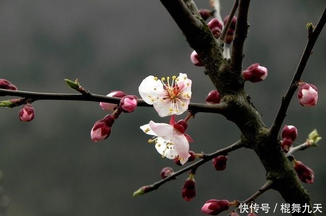 艺术|什么是做人最高的艺术呢南怀瑾不高也不低,不好也不坏…