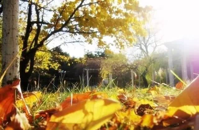 孙仲谋|烟雨夜读 生子当如孙仲谋