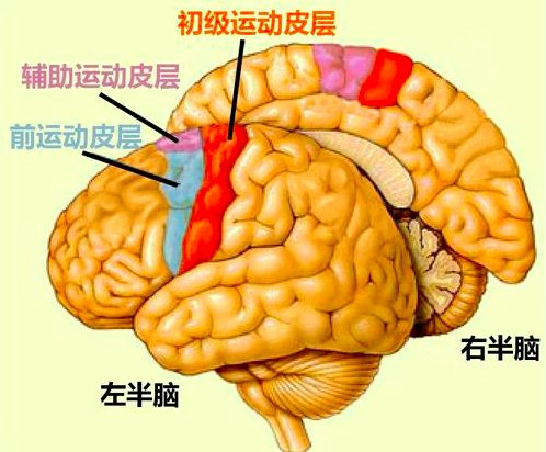 幸福感|日本研究：让心情放飞，仅需跑10分钟！