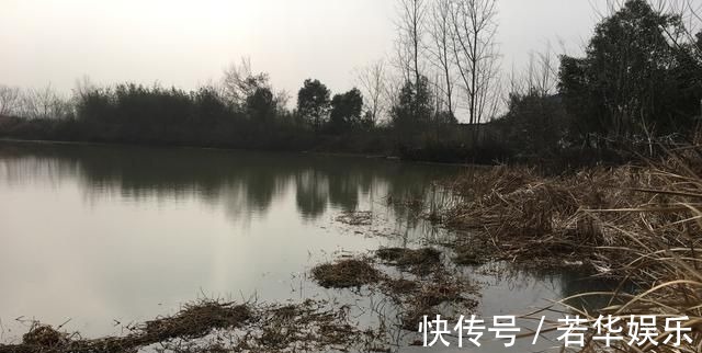 水草|没有水草就不能钓鱼了吗根据这4点来找鱼,下竿之处即咬钩