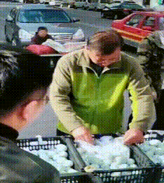 |笑话:被女友拉着去民政局离婚