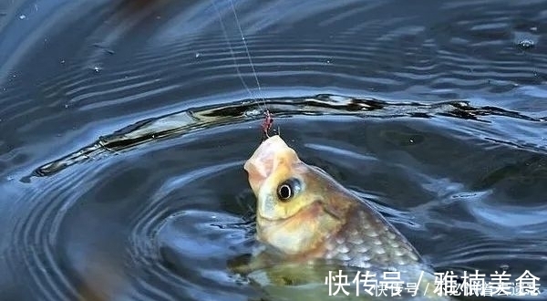 钓鱼经验总结，在阴雨天钓鱼的经验，帮助你钓到更多鱼——盛世三渔