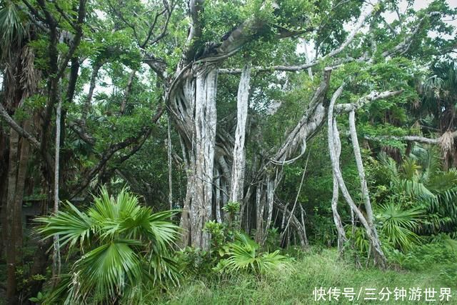 茶马古道|南迦巴瓦常年被挡，但人们的热情依旧不减，原来山下风景也迷人