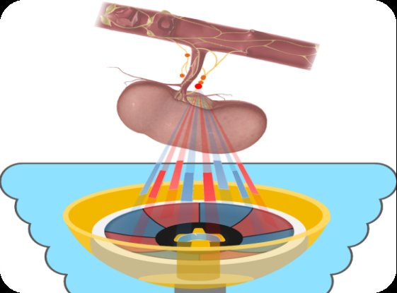 重医|重医获批国家自然科学基金重大科研仪器研制项目