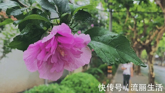 场地|场地高颜值、市民高素质,松江这个“读书吧”免费开放四年多没丢过一本书