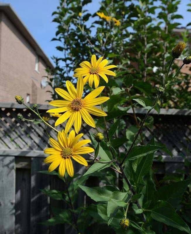 青未了｜荒芜中照见的美好