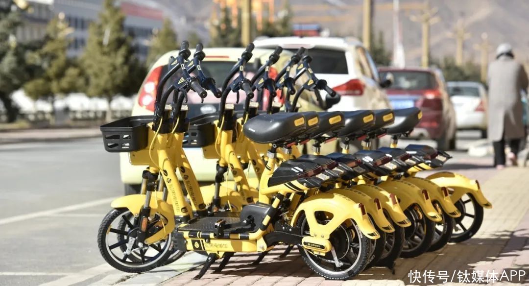 共享|巨头来了松果慌吗