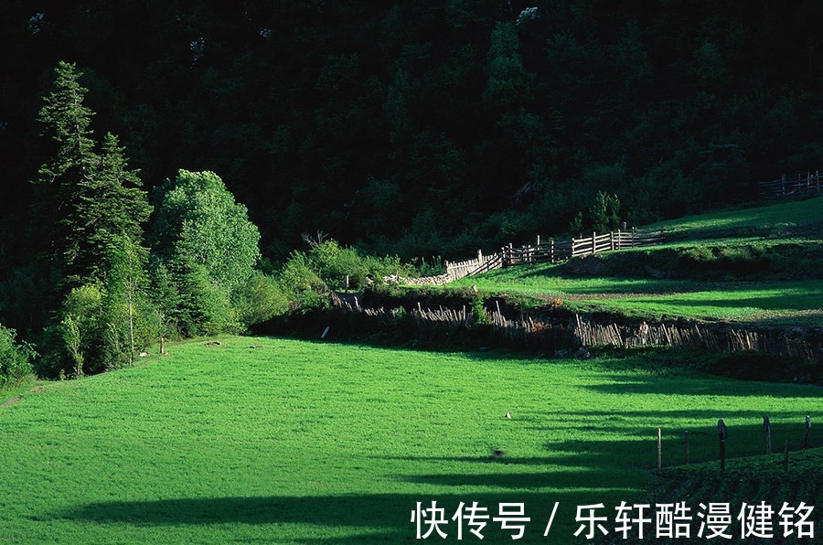 生肖鸡|熬到明天桃花运超红，财运大旺，福星庇护的生肖