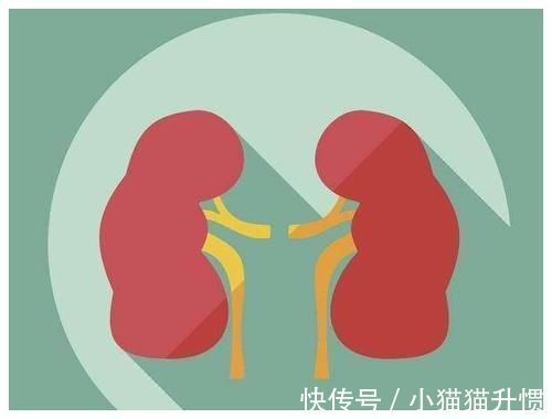 肾脏|男人洗澡时,若常洗这2个部位,可能肾脏越来越健康