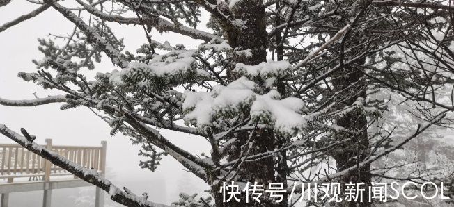 日月坪|昨晚，成都下雪啦