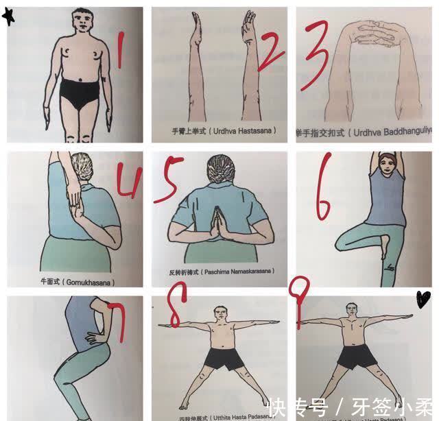 瑜伽|让我用群里朋友的亲身经历告诉你：基础的重要性！练后弯之前必看