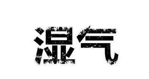 食疗方子|“健脾养胃、利水除湿”,1个食疗方子占全了,今天免费送给大家