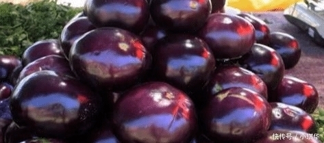 原来圆茄子和长茄子差别这么大?以后不乱买了