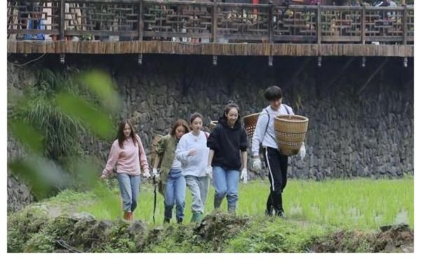 陳赫|《向往5》收官,黃磊向觀眾透露,可能沒有第六季了