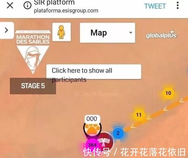 主辦方|奔跑在撒哈拉沙漠地獄馬拉松的一只狗