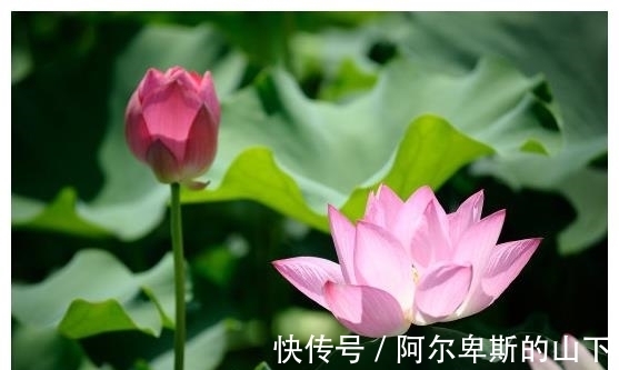 大运|9月中旬，吉星进门，4属相苦尽甘来，喜事不断，生活甜美