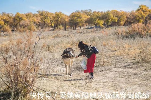 胡杨叶|一年只美21天就在下个月，再犹豫就真错过了