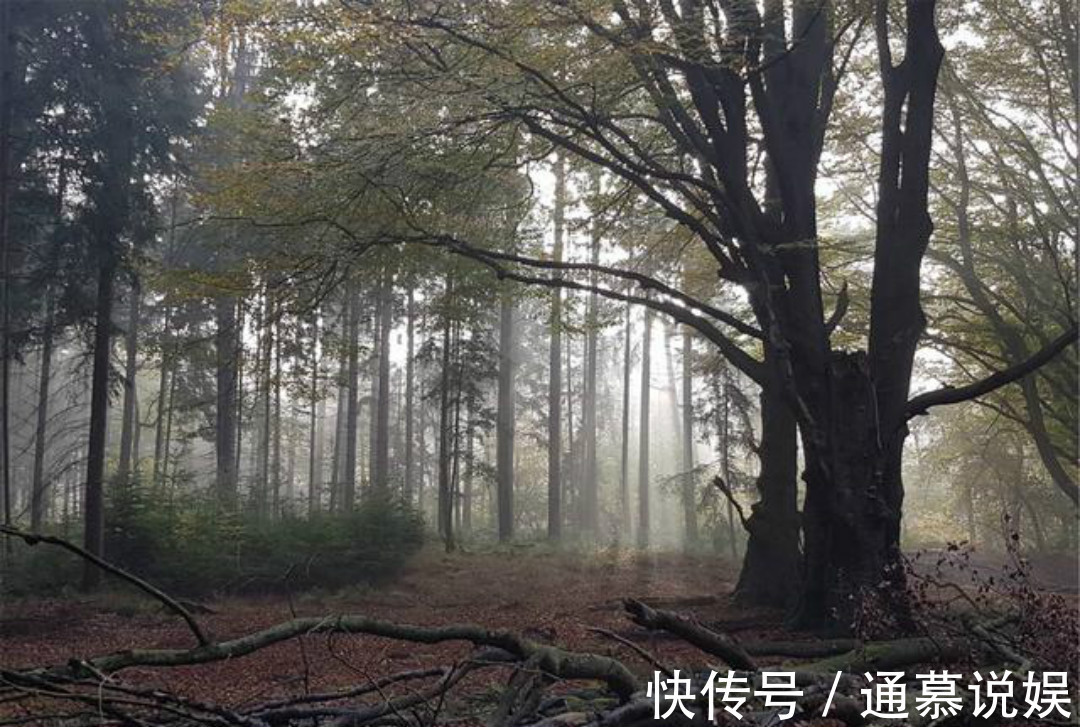 秋夜独坐&王维晚年写下的这首禅诗，通篇意境高远，同时每一句都有大智慧！