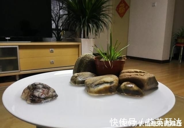 树桩|用石头盘子来养花，变成小盆景，价值能翻好几倍