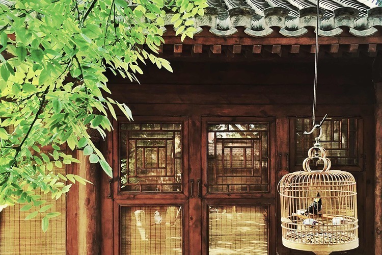 扁鹊|治愈疾病最万能的良药,就在你的身上