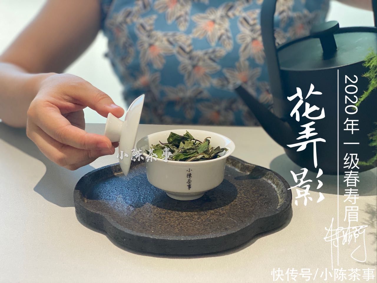 茶树|从产区、工艺到冲泡,全方位教你挑选寿眉,不藏私,都分享给你