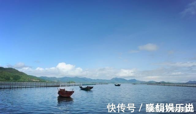 声声慢!李清照唯一的一首豪放词, 绝非一般女性能写出!