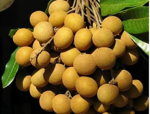 好食物|女性不想衰老，不妨多吃的好食物，清理血液毒素，肌肤细腻更红润