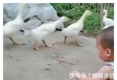 奶奶|送宝宝去奶奶家,一周后发现孩子学会个新技能,妈妈差点笑喷了