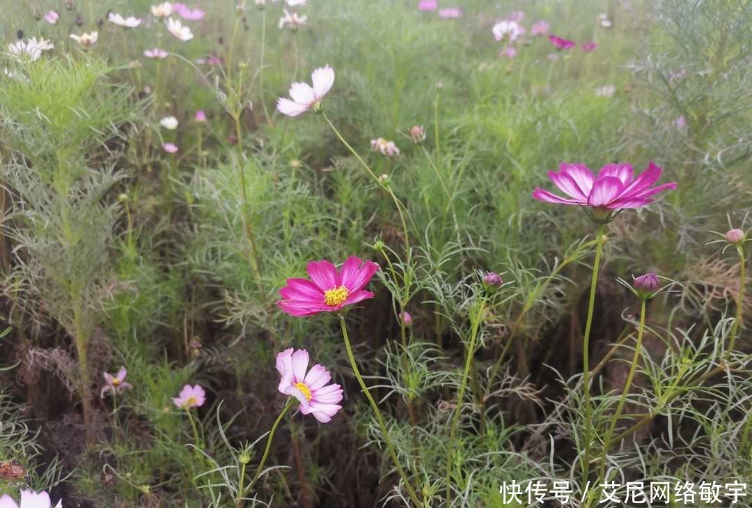 道德品质|曾国藩:自修之道莫难于养心,重读经典求得大悔大悟