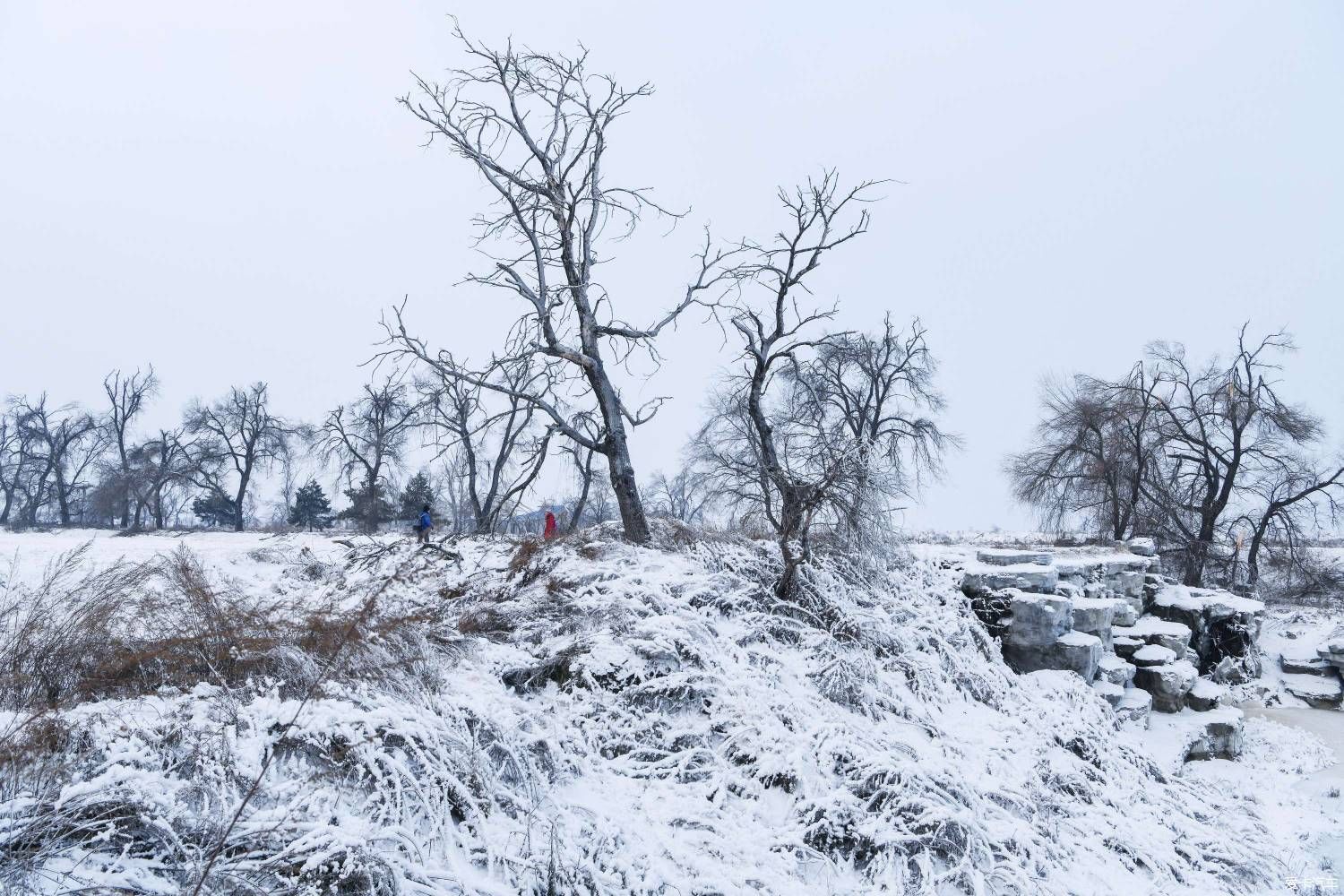 美丽的北国风光，千里冰封，万里雪飘