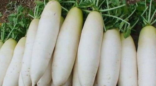 女人排毒就是在抗衰老，不妨常吃以下幾種食物，女人會更年輕