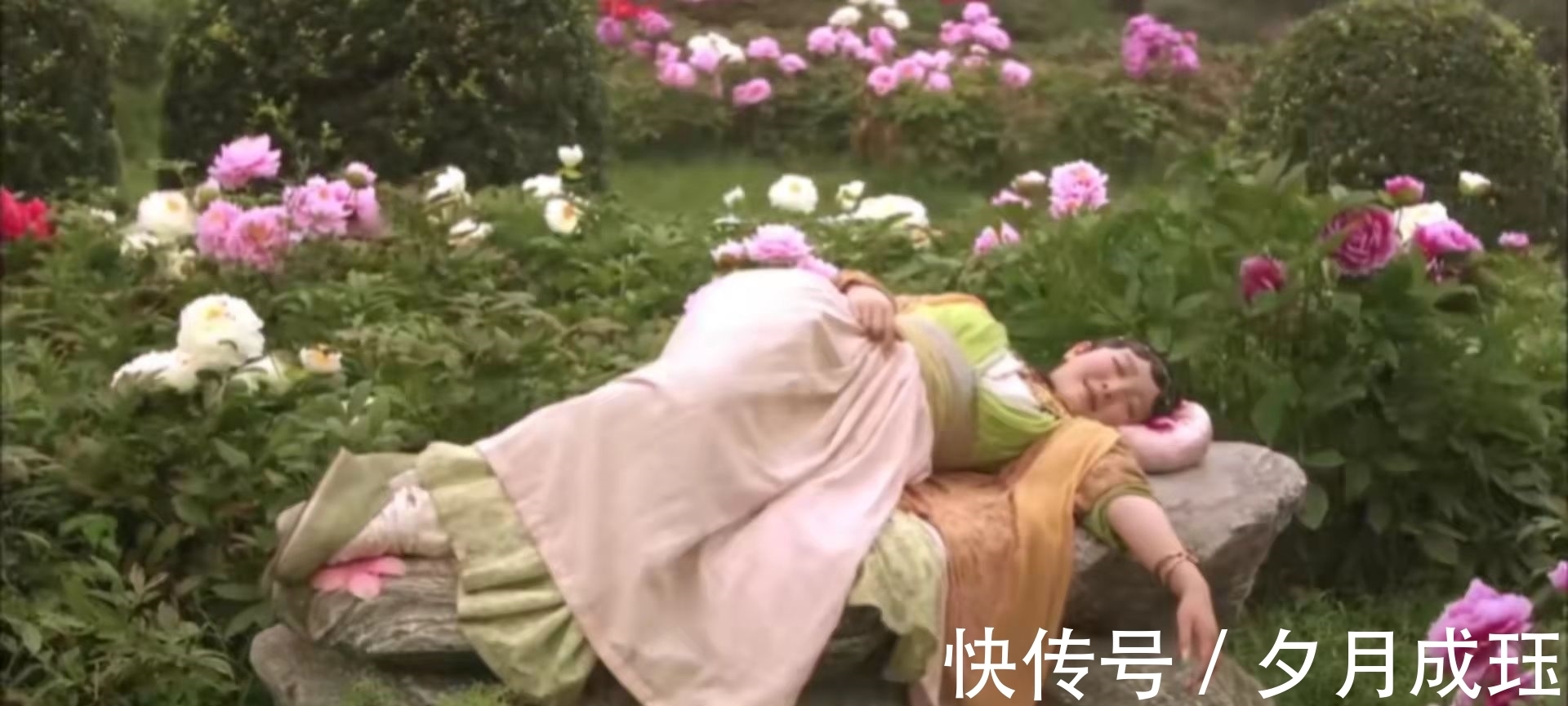 芍药!没有对比就没有伤害,一个简单的睡姿,看两版《红楼梦》的差距