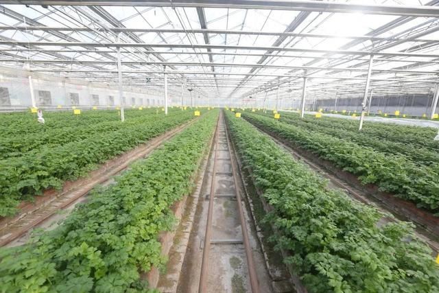 又一打卡地!快来长春农博园赏美景、购好物