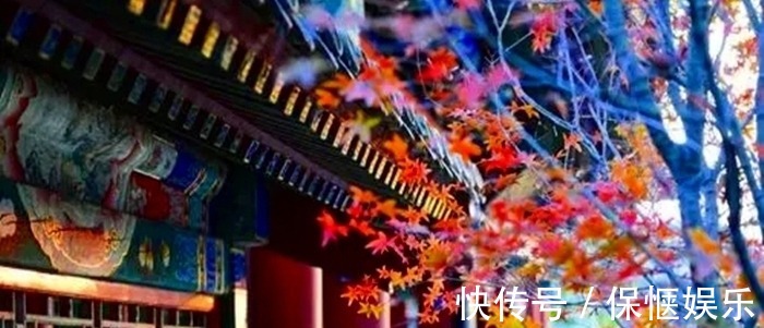 红笺#红叶黄花秋意晚,女主人公因悲秋而怀远,书信难寄玉泪滴落红笺淡