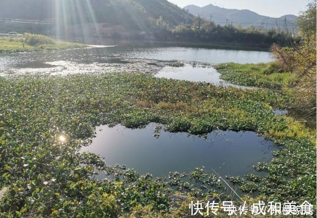 冬季钓鱼到底是晴天好还是雨天好?选对天气才能钓得更多