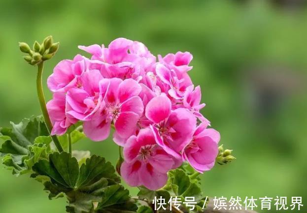 天性|教出了一个“特别懂事”的孩子,往往是父母的失败