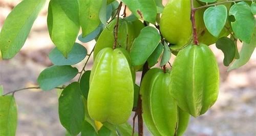 冬天来了，不妨多吃3种食物，美容护肤，抵抗衰老，好处多多