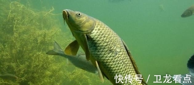 冬季钓鱼，这4种晴天没鱼吃钩，不要去浪费时间！