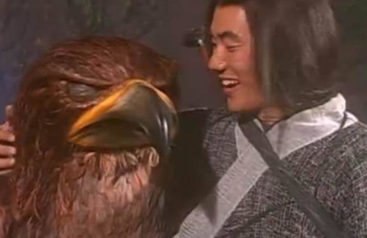 为何杨过当初要救雕而杀了蛇假如救怪蛇,他恐怕早就天下无敌